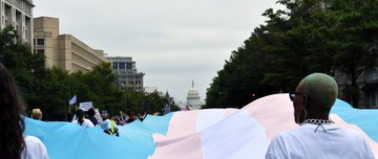 Giant trans flag unfurling before White House