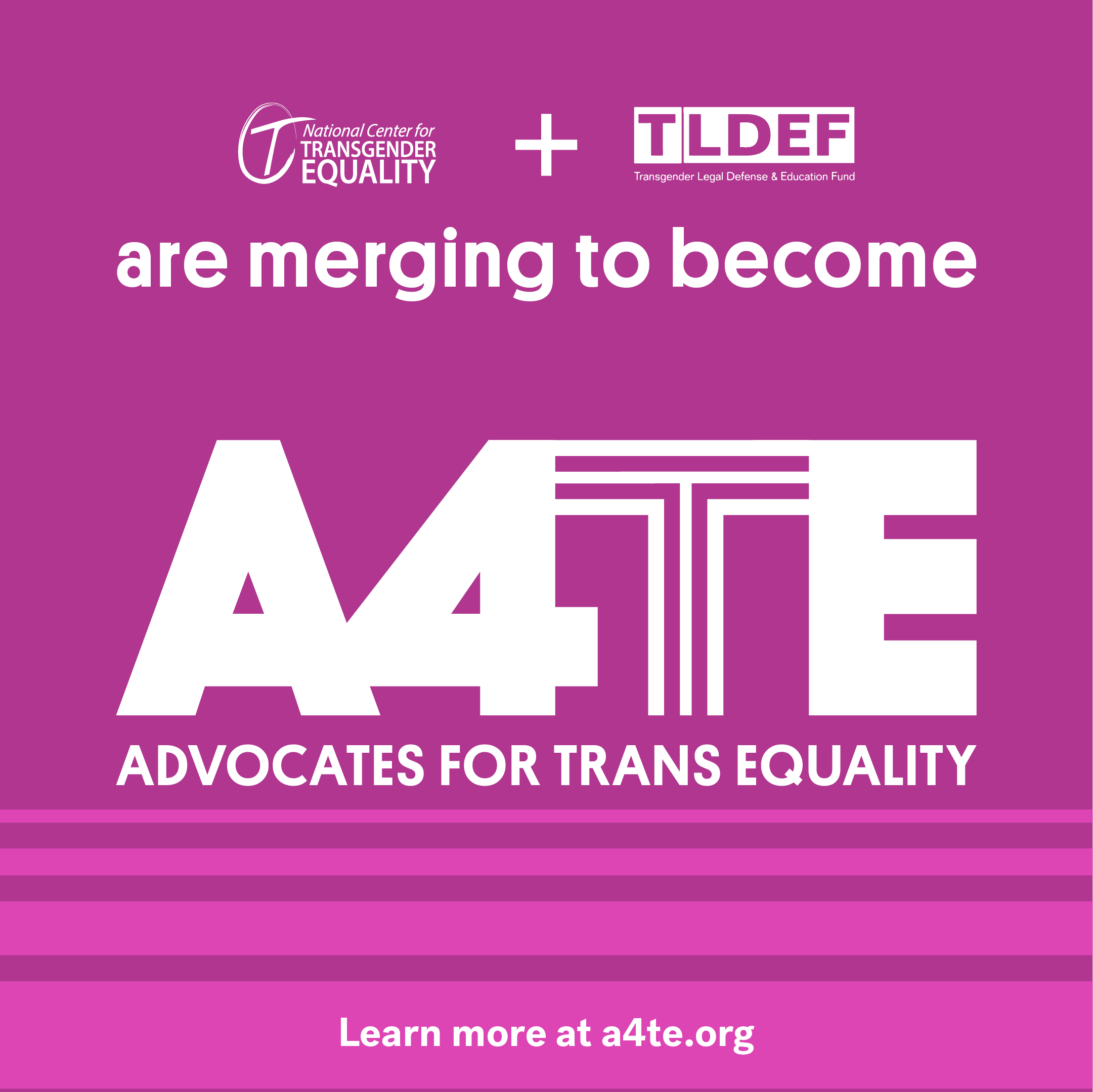 The National Center for Transgender Equality and Transgender Legal Defense and Education Fund are merging. Learn more.
